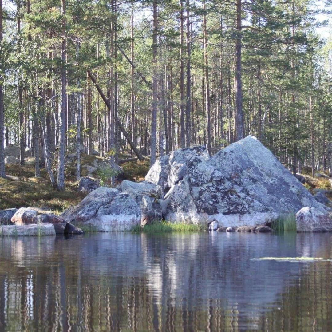 Hamra Stugby - Nature Adventures Hamra Buitenkant foto