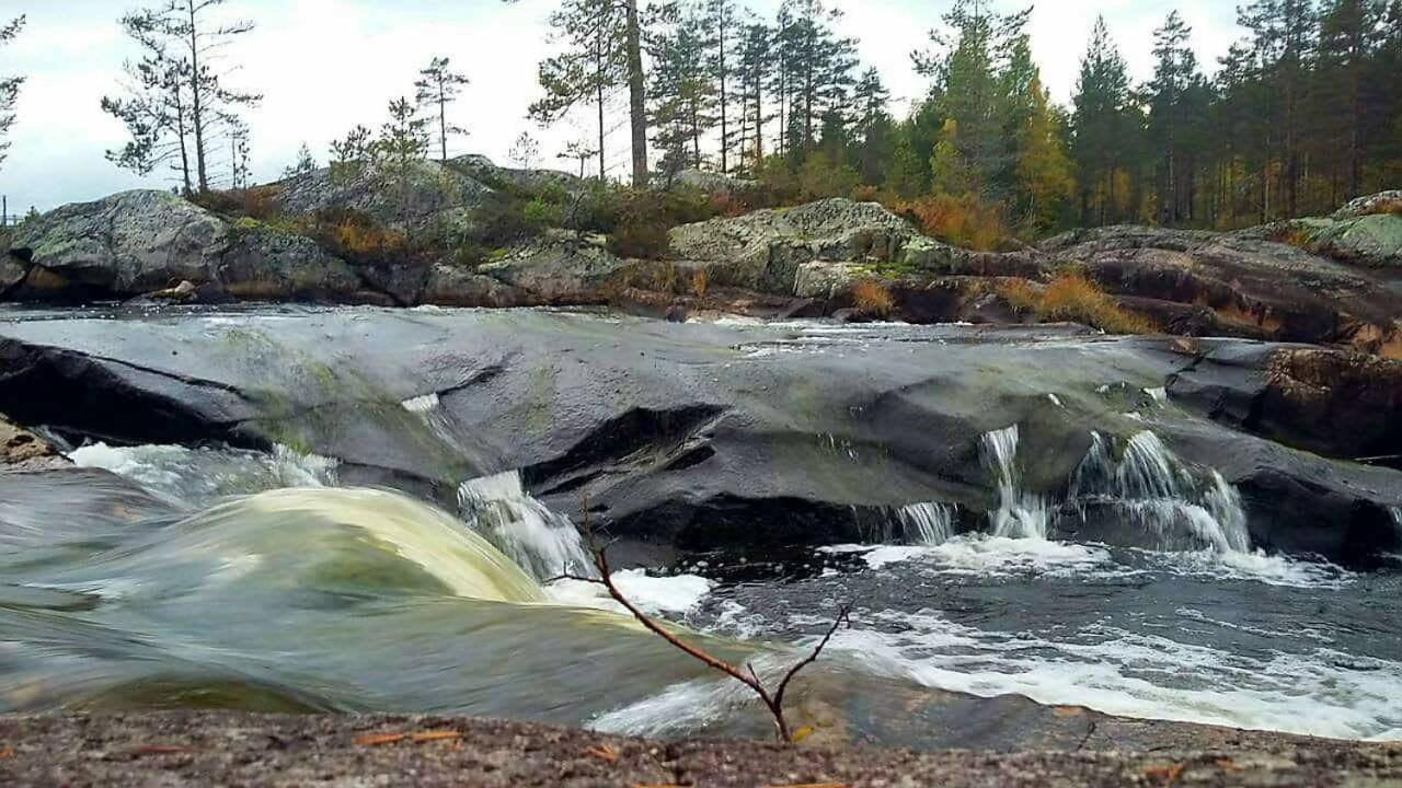 Hamra Stugby - Nature Adventures Hamra Buitenkant foto